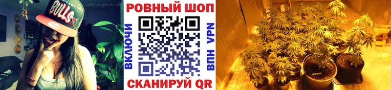 Где найти наркотики Чебоксары КОКАИН  Меф мяу мяу  Псилоцибиновые грибы  ГАШИШ  А ПВП 