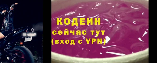 амф Россошь